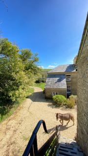 Beachborough Country House - Barnstaple - 3