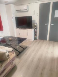 Mobil home climatisé au Domaine Lalande à Mimizan - Mimizan - 5