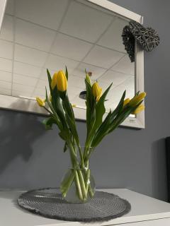 Apartmán Smokovček - Starý Smokovec - 1