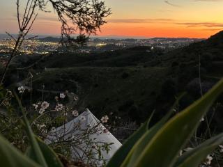Glamping Finca el Olivo - Mijas - 0