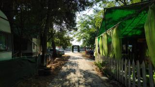 Camping Mitikas and Bungalows - Plaka Litochorou - 9
