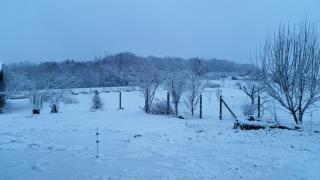 La Vieille Maison aux Canards - 5