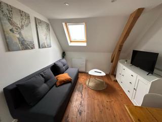 Superbe appartement proche centre ville, thermes - Bagnères-de-Bigorre - 9
