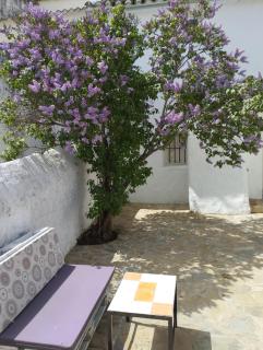 Casa Béjar, Tranquila casa con chimenea, patios, junto a la piscina - Cañete la Real - 9