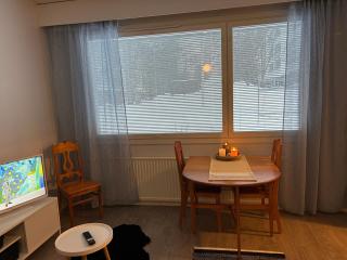 Studio - Rovaniemi - 6