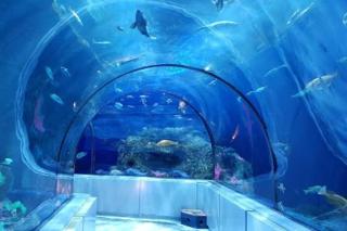 Lit KING - 1CH bien situé pour découvrir Québec - 1