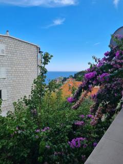 Apartments Deranja II - Dubrovnik - 2