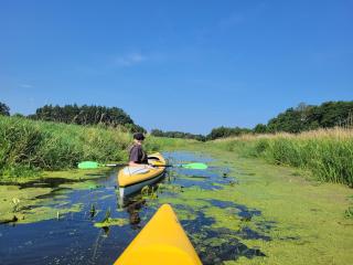 Willa Krokowa nad morzem - 6