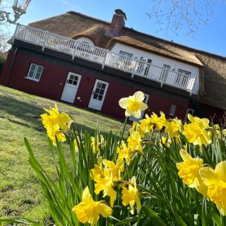 Alte Schule SPO - Sankt Peter-Ording - 6