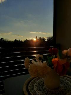 Elegant Inn Gospić - 4