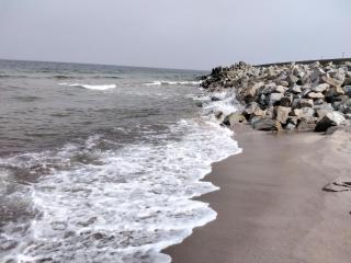 Apartament Kasztanowy - 4