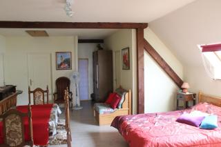Apartment Route du Vin Centre Alsace - Orschwiller - 3