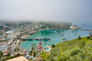Dreamy Catalina Island Home, Walk to Beach and Ferry - Avalon - 9