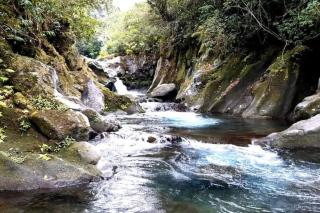 La Caz à Irène - 4