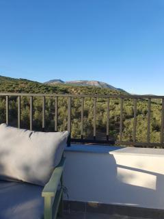 Casita of Casa Olivar - 8