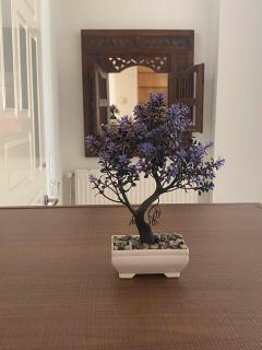 Kisamos Nice Apartment 3 - 9