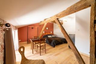 Le Clos Saint-Jean - Chambre d'hôte Simba - Saint-Jean-de-Thurac - 2