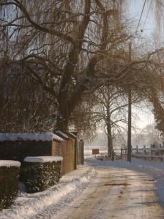 B&B De Pepelinck - Denderwindeke - 5
