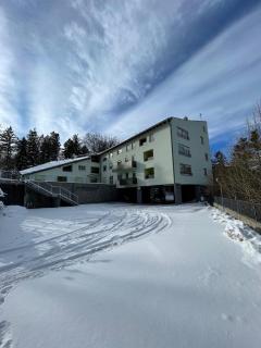 Apartma Pohorske terase Brumen Mariborsko Pohorje - 9