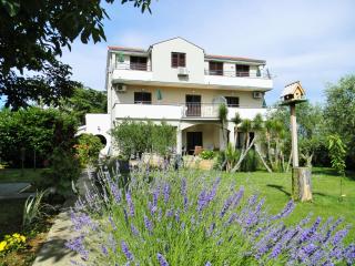 Apartmani Božena Forko ZATON - Nin - 5