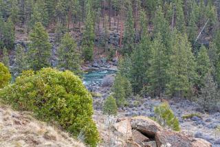 River Ridge 329A - Meredith Lodging - Bend - 4