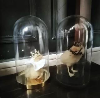 Les Petites Suites Dieppoises - La Demeure de Peau d'Ane - 1