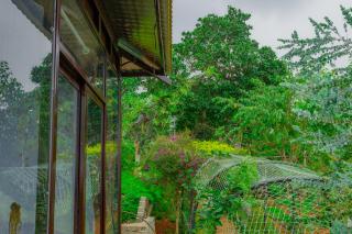 Phuong Nam Gia Trang Farmstay - 3