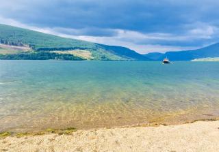 Seal Cove Cabin - Luxury Glamping - 3