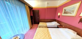 Parkhotel Vienna - Bielsko-Biała - 9