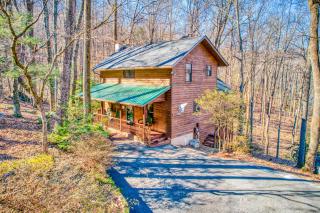 Carolina Cardinal House - 9
