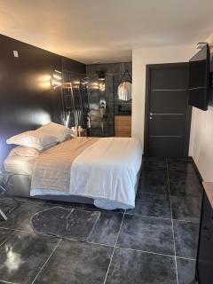 Studio jacuzzi prive - Portet-sur-Garonne - 9