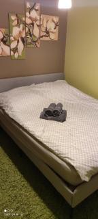 Apartament Krośnieńska - 1