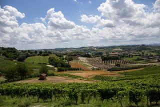 Ca' del Profeta Ristorante & Relais - Montegrosso dʼAsti - 4