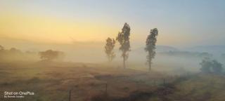 Green Meadows Farm Stay - 3