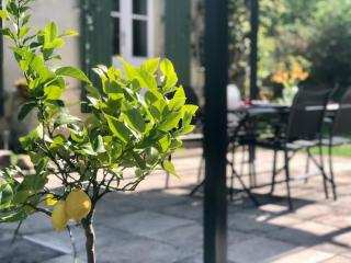 Moulin de La Vergnotte - 1