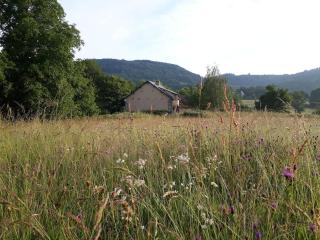 Le Studio du Crot Noir - Cussy-en-Morvan - 2
