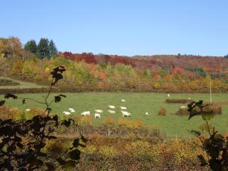 Le Studio du Crot Noir - 6