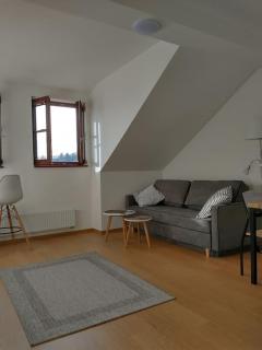 Apartment Felicitas - Kašperské Hory - 8