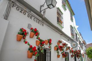Vitium Córdoba - Córdoba - 6