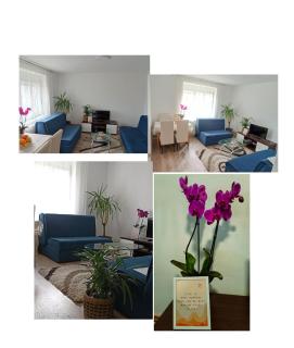 Apartman Mihajlović - 2