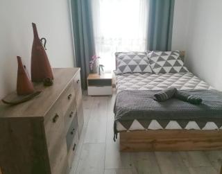 Apartament Pruszcz Gdański 1 - Pruszcz Gdański - 5