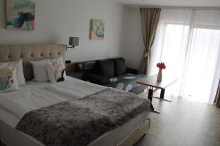 Apparthotel Alte Innbrücke-24Std-Self-Check in-Haustiere Willkommen - Neuhaus am Inn - 3