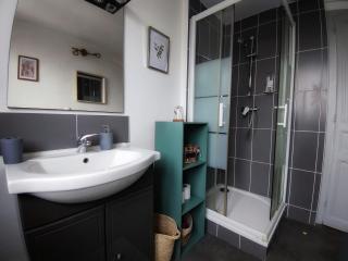 Le char'Mans appartement cosy proche gare et tram - Le Mans - 8