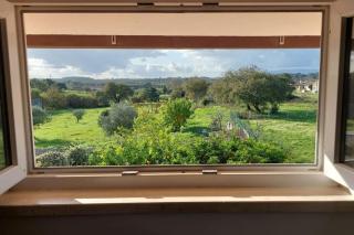 Casa Alegria - The Orangery - Tomar - 6