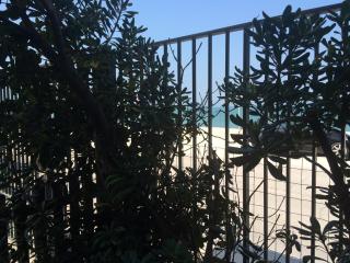 Beach Appartament - Marina di Montemarciano - 3