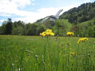Partnachlodge - Garmisch-Partenkirchen - 1