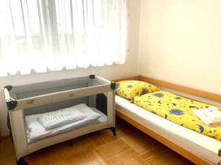 Geräumige Ferienwohnung im Zentrum - Sankt Pölten - 1