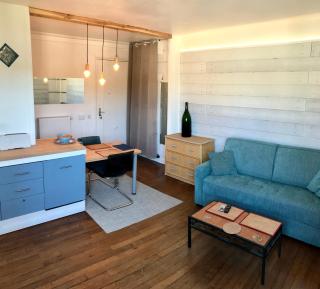 Studio lumineux avec petite terrasse - Viroflay - 1