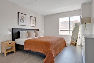 Brookline 1BR w Gym next to Brookline Village T BOS-611 - 2