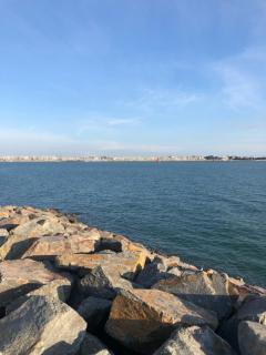 Les pois sont verts - La Rochelle - 1